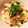 マルボロマルコ's cooksnap of when they made ほたるいかの炊き込みご飯.