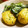 maruru-nn's cooksnap of when they made 小松菜と厚揚げのオイマヨ炒め.