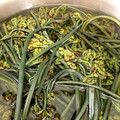 かんだたこ's cooksnap of when they made 計算式で失敗なし。わらびのあく抜き.
