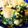 ❥❥ℳ✿'s cooksnap of when they made 彩り鮮やか♡ほうれん草と鳥肉の炒め物.