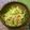おはなすき's cooksnap of when they made お財布の味方!もやしとカイワレのサラダ.