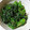 クックmacha☆'s cooksnap of when they made 基本の副菜 ほうれん草のごま和え.