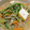 クックG18P6H☆'s cooksnap of when they made 厚揚げと豆苗の麻婆風☆.