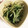 ＊クロミント＊'s cooksnap of when they made 水菜ともやしのお浸し.