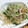 キャラメグ♪'s cooksnap of when they made もやしの和え物.