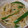 くっくのん's cooksnap of when they made もやしとピーマンのマヨぽん炒め♪.