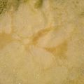 ねいじゅママ's cooksnap of when they made 甘さ控え目！もちもちクレープ生地.
