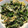 snow012's cooksnap of when they made 超時短！ほうれん草としらすの玉子炒め.