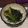 Amalka's cooksnap of when they made ほうれん草のごまあえ.