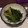 Amalka's cooksnap of when they made ほうれん草のごまあえ.