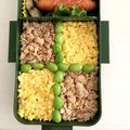 やまさくもも's cooksnap of when they made 牛乳パックでキレイにそぼろ弁当作っちゃぉ.