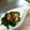 猫☆１２匹's cooksnap of when they made 簡単！菜の花と鯖の味噌煮の和え物.