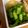 なっしー♫'s cooksnap of when they made 春ピーマンと枝豆の炒め物.