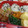 みゆwaco 's cooksnap of when they made ほうれん草のごま和え★.