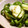 maruru-nn's cooksnap of when they made ほくほく長芋とピーマンのバター醤油炒め.
