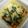ペコポコみな's cooksnap of when they made 和から洋へ!?★リメイク★ひじきの煮物★.