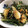 みこみこコロッケ's cooksnap of when they made エシャロットを簡単味噌だれで炒め.