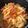 クック0O564F☆'s cooksnap of when they made ツナとトマトのショートパスタ☆.