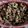 クックLBBX0X☆'s cooksnap of when they made 万能❤肉味噌そぼろ.