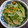 ネコロニー's cooksnap of when they made せりと大根の香り炒め.