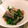 かにゃたろう's cooksnap of when they made 簡単♪夕食♪さば缶と菜の花のサッと煮.