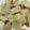 クックEDJTW7☆'s cooksnap of when they made 簡単☆オシャレな大人のジャーマンポテト♪.
