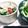 キャラメグ♪'s cooksnap of when they made 菜の花とえのき茸のペペロンチーノ風炒め.