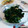 ロボット刑事's cooksnap of when they made ほうれん草と椎茸のナムル.