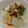 きつねどんべい's cooksnap of when they made 簡単旨い！ねぎザーサイ冷奴。.