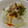 きつねどんべい's cooksnap of when they made 簡単旨い！ねぎザーサイ冷奴。.