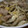 conn's cooksnap of when they made 舞茸と豚肉の煮物.