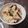よちりん's cooksnap of when they made さつまいもと生きくらげの炊き込みご飯.