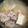 クックMMCG75☆'s cooksnap of when they made 豚バラ白菜のお味噌汁♥.