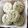 たんこにんぐ's cooksnap of when they made すぐ出来る！簡単！紅茶のちんすこう.