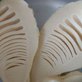 くま子ばぁば's cooksnap of when they made たけのこのアク抜き.