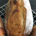 白い梟's cooksnap of when they made 自家製酵母＊３種のチーズたっぷりパン＊.
