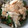 mindoママ's cooksnap of when they made 小松菜となめこのお浸し.