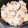 かのか★'s cooksnap of when they made 生姜香る ミョウガと鶏の炊き込みご飯.