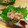 ズボラな山姥's cooksnap of when they made 祝人気検索1位！簡単 絶品 鯵のなめろう.