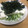 ○・ω・○はむはむ's cooksnap of when they made ♡旬の新玉ねぎと新わかめのサラダ♡.