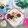 Dream♪'s cooksnap of when they made 寒天（ところてん・くずきり・みつ豆）黒蜜.