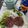 Caribou3's cooksnap of when they made 豆腐ハンバーグ《糖質オフ》.