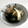 ku1706's cooksnap of when they made たけのことあさりの炊き合わせ.