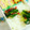 SP♪'s cooksnap of when they made 簡単★ピーマンのツナ和え.