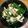 クックリックチック's cooksnap of when they made 鶏ササミとそばの実の梅肉和え.
