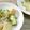 ヌーシ's cooksnap of when they made 簡単！新じゃが＆じゃこの大葉和え.