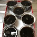 ひなこまめ's cooksnap of when they made アガー使用♡コーヒーゼリー.