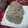 レオン犬's cooksnap of when they made 富山の味：とろろ昆布おにぎり(おまけ付).