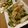 BiwacoJune's cooksnap of when they made ピーマンと玉ねぎのおかか炒め.