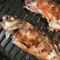 みゃんころすけ's cooksnap of when they made 簡単! メバルを塩焼きにしてみませんか?.
